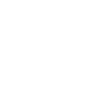Online Course
